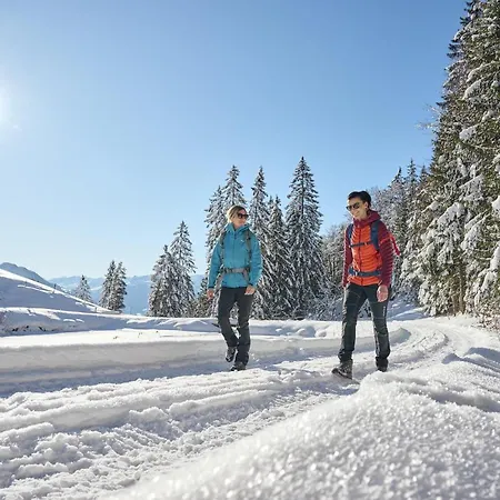 Bludenzerin Апартаменты