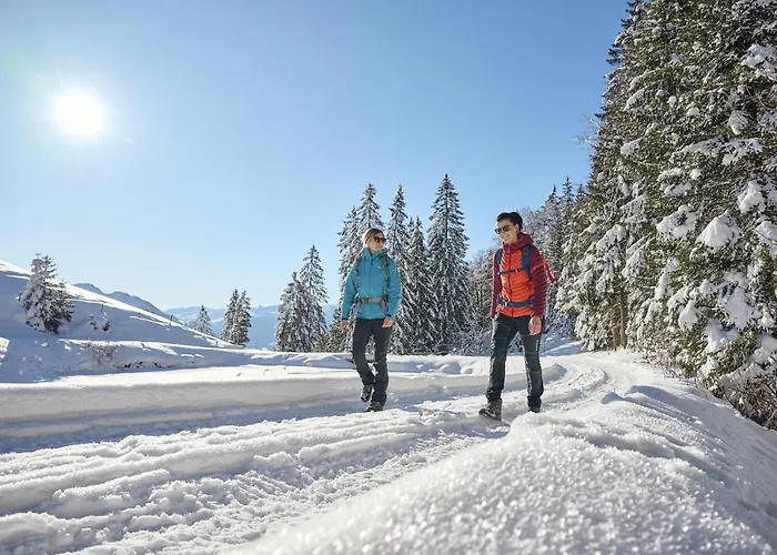 Bludenzerin Apartment