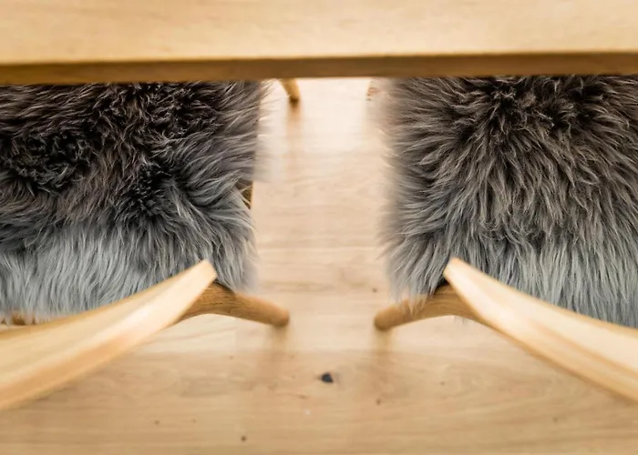 Bludenzerin Apartment